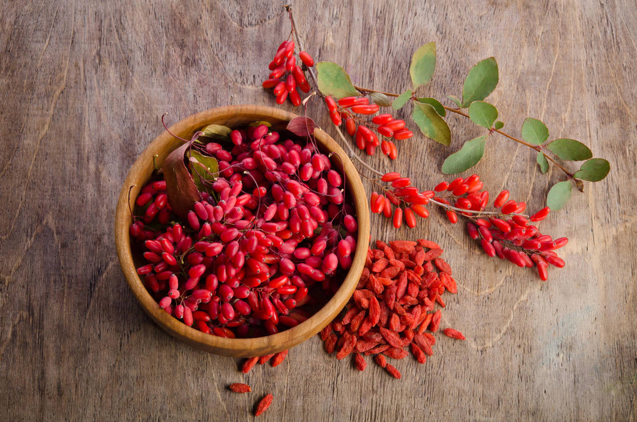 Berberine Hydrochloride